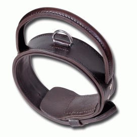 https://www.olicollars.com/collections/frontpage/products/oli-agitation-collar-leather-dog-collar-with-handle